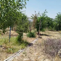 فروش باغ ۱۲۲۰ متری بهترین مسیر پل زمانخان|فروش زمین و ملک کلنگی|اصفهان, ملاصدرا|دیوار