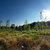 زمین سنددار/مناسب سرمایه گذاری/کاربری مسکونی