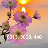 خط رند همراه اول ۴۴۰ ۳۰۰۰ ۰۹۱۳