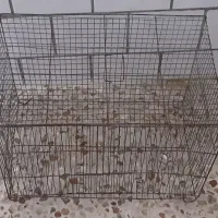 دوعددقفس تمیز