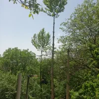 رهن-واجاره-سوله-200-متری-طبقه-اول-شهرک-صنعتی-بیدک