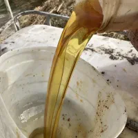 روغن سوخته  فسفودی قنادی و سوخاری