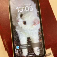 آیفون ۱۱ پلمپ|موبایل|بابل, |دیوار