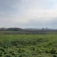 ۵۰۰مترزمین داخل طرح ویشگاننک سنگررشت