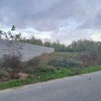 ۶۰۰ متر زمین درروستای زیبای نوخاله|فروش زمین و ملک کلنگی|تولم شهر, |دیوار