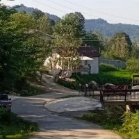 ویلا جنگلی