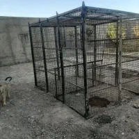 قفس سگ ۳متر در ۲متر ارتفاع ۲متر|لوازم جانبی حیوانات|رباطکریم, رباطکریم|دیوار