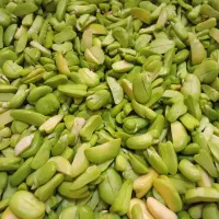 سلام|خوردنی و آشامیدنی|شیراز, گچی|دیوار