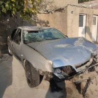 زانتیا تصادفی