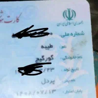 کارت ملی بنام طیبه گرگیچ گم کردم