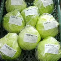 بسته بندی صیفی جات