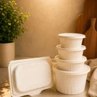 ظروف آلومینیومی/فومی
