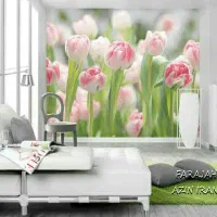 نصاب کاغذ دیواری پوستر ونقاشی|خدمات پیشه و مهارت|اهر, |دیوار