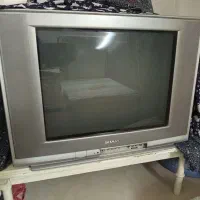 تلویزیون