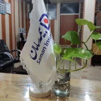 دعوت به همکاری در بیمه سامان