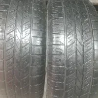 لاستیک استوک