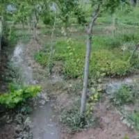 زمین باغچه ای سنددار با چاه آب