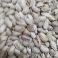 پسته احمد اقایی|خوردنی و آشامیدنی|جوادآباد, |دیوار