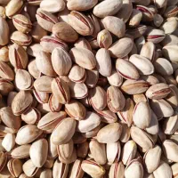 پسته فروشی فوری