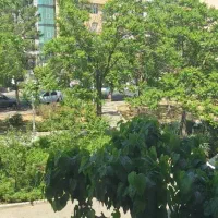 ۸۶ متر دوخواب  خیابان بهنام با ویوی دلنشین، فوری|فروش آپارتمان|تهران, مهران|دیوار