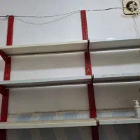 لوازم مغازه|فروشگاه و مغازه|اسفراین, |دیوار