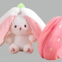 خرگوش سوپرایزی