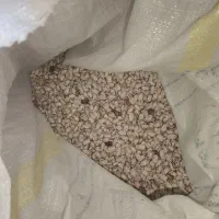 لوبیا چیتی یا ماش درجه 1 تازه مال امسال