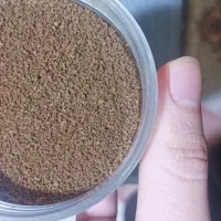 غذای بیوما فرانسه معاوضه با غذای کوی