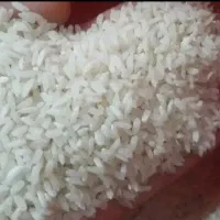 برنج درجه۱ میداودباقیمتی باورنکردنی توضیحات بخونید