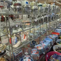 فروشنده خانم مجرد|استخدام خدمات فروشگاه و رستوران|بروجرد, |دیوار