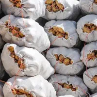 سیب زمینی پیاز درجه یک       (ارسال رایگان)