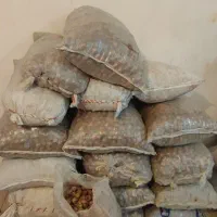 گردو خشک امسالی|عمدهفروشی|شهرضا, |دیوار