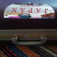 چمدان زرشکی