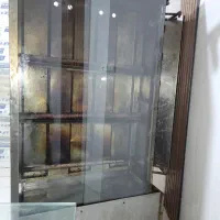 دستگاه پاچینی و کتف بال مرغ کنتاکی