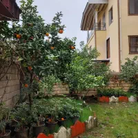 ویلای ۳ طبقه با قابلیت ۳ واحد|فروش خانه و ویلا|عباسآباد, |دیوار