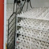 دستگاه جوجه کشی تمام اتوماتیک|ماشینآلات صنعتی|خوی, |دیوار