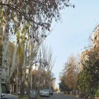 اجاره-واحد-تجاری-اداری-خیابان-صفا