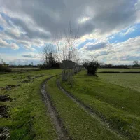 زمین شالیزار سنتی پنج هزار متری