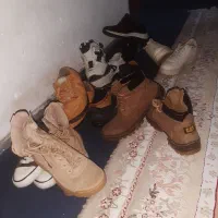 پوتین وکتونی