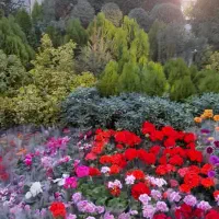 تمام خدمات باغبانی وگل ازصفر تاصد انجام میشود
