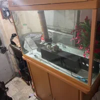 آکواریوم همراه بامیز|ماهی|رشت, استقامت ۲|دیوار