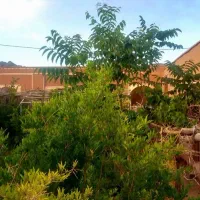 خانه باغ