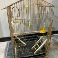 قفس بزرگ|لوازم جانبی حیوانات|اصفهان, ملکشهر|دیوار