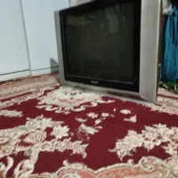 تلویزیون پاناسونیک|تلویزیون و پروژکتور|اهواز, کوی علوی|دیوار