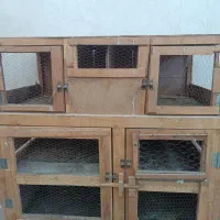 کجه قفس تمیز و محکم  ۶  جفتی|لوازم جانبی حیوانات|قم, شهر قائم|دیوار