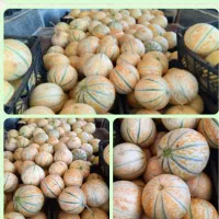 میوه بهشنی شیرین اب دار
