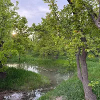 500متر-باغ-چهاردیواری-سند-تک-برگ-شهریار