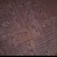 دو عدد موکت دوازده متری