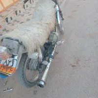 موتور سیکلت|موتورسیکلت|ایرانشهر, |دیوار