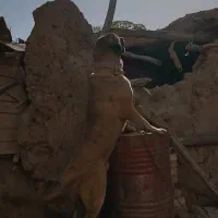 سگ عراقی|سگ|ابهر, |دیوار